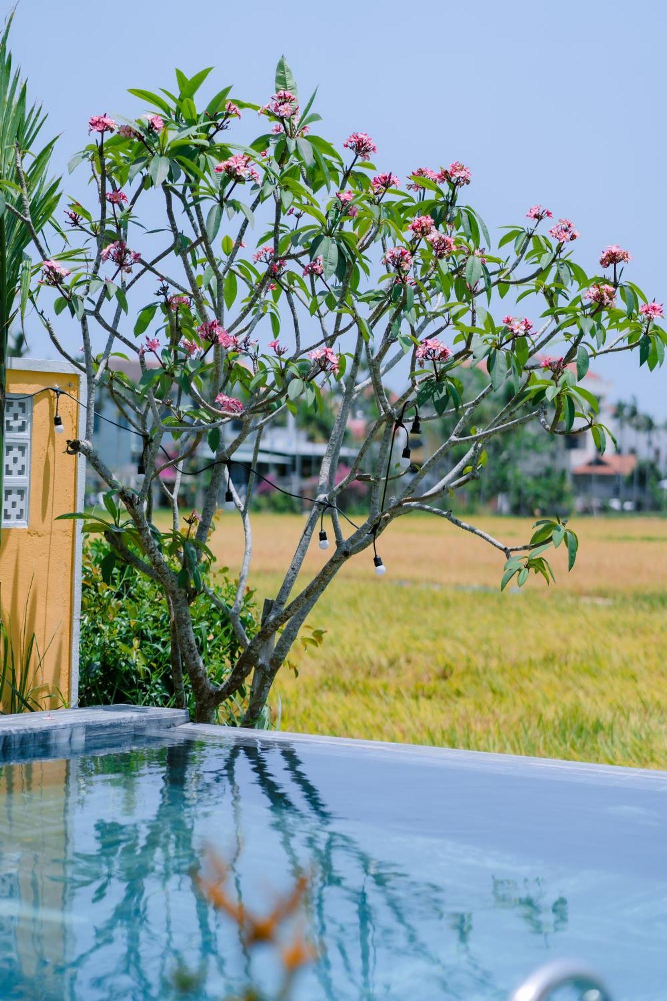 Bs Jade Home ฮอยอัน ภายนอก รูปภาพ